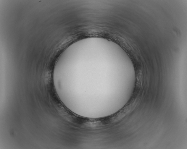 X0000113090278200909251016