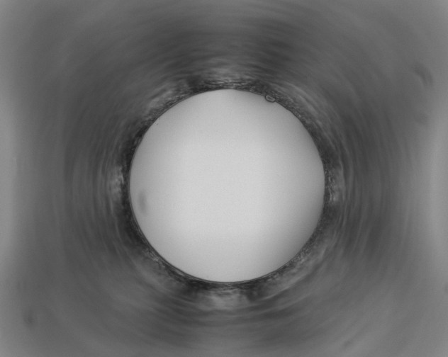 X0000113090279200909251016