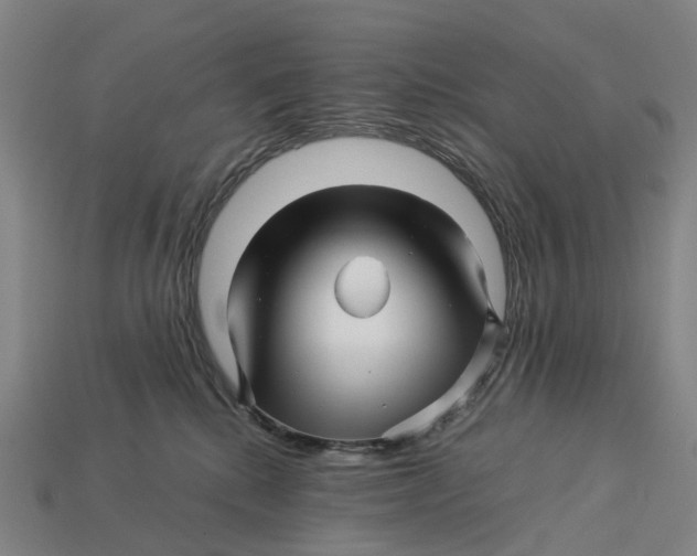 X0000113090280200909251016