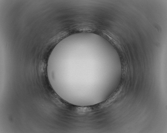 X0000113090281200909251017