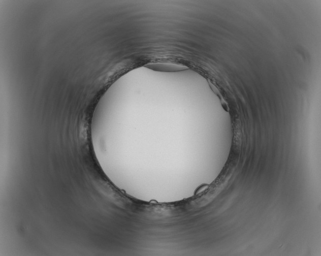 X0000113090282200909251017