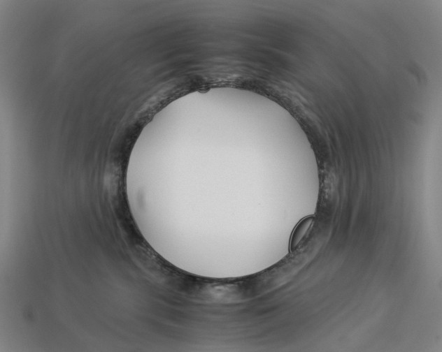 X0000113090283200909251017