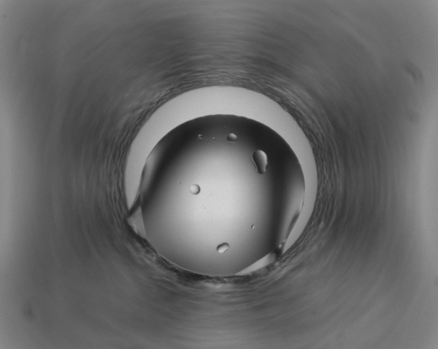 X0000113090284200909251017
