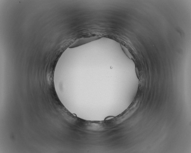 X0000113090285200909251017