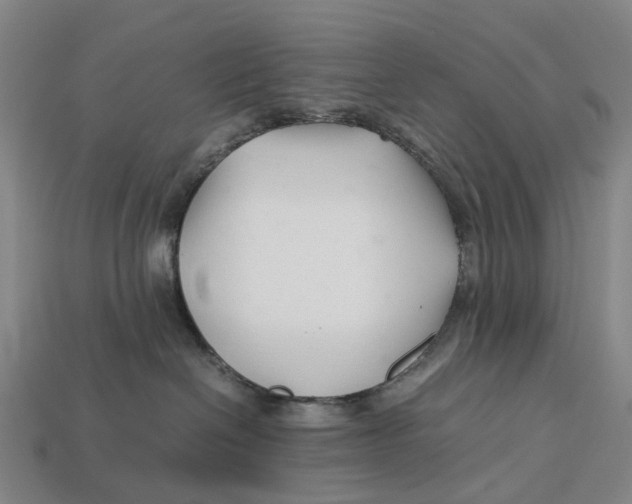 X0000113090286200909251017