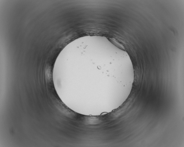 X0000113090287200909251017