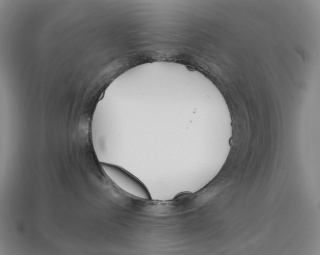 X0000113090288200909251017