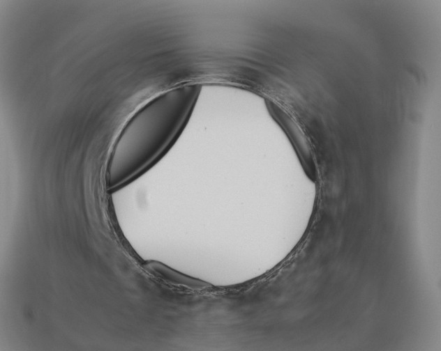X0000113090289200909251016