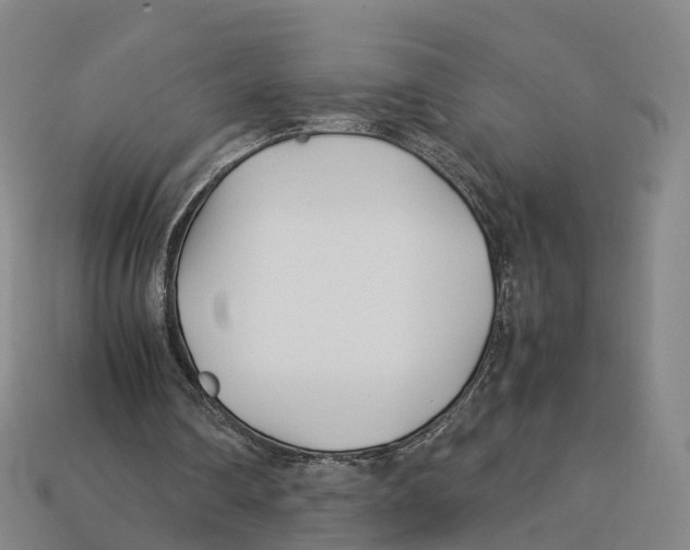 X0000113090290200909251016