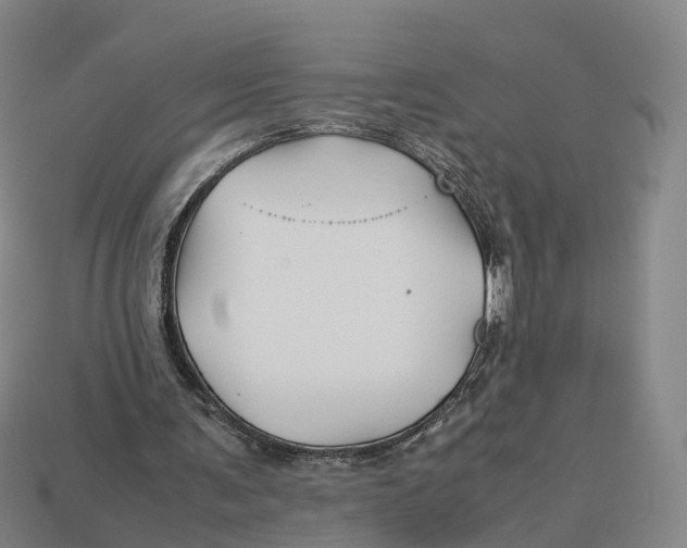 X0000113090291200909251016