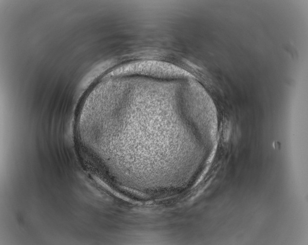 X0000113090292200909251016