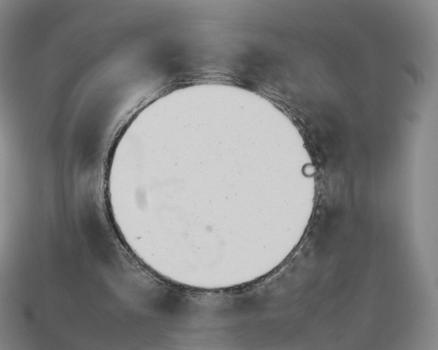 X0000113090293200909251016