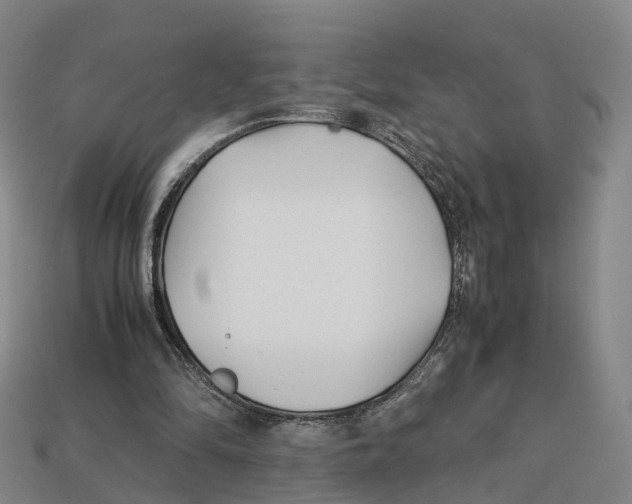 X0000113090294200909251016