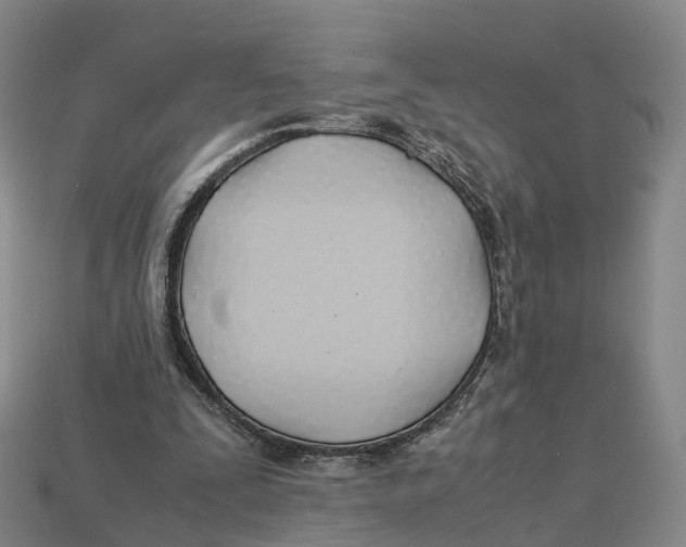 X0000113090295200909251016