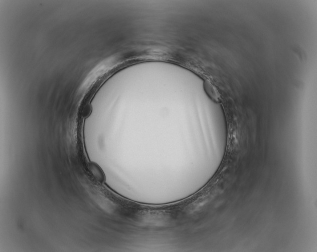 X0000113090296200909251016
