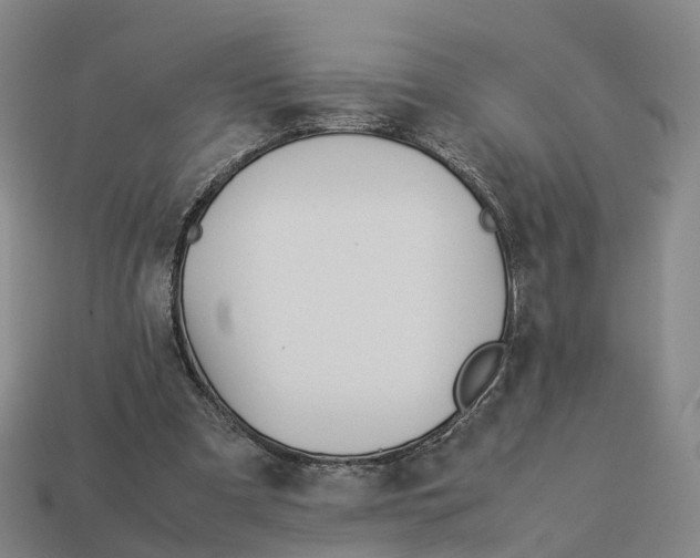 X0000113090297200909251016