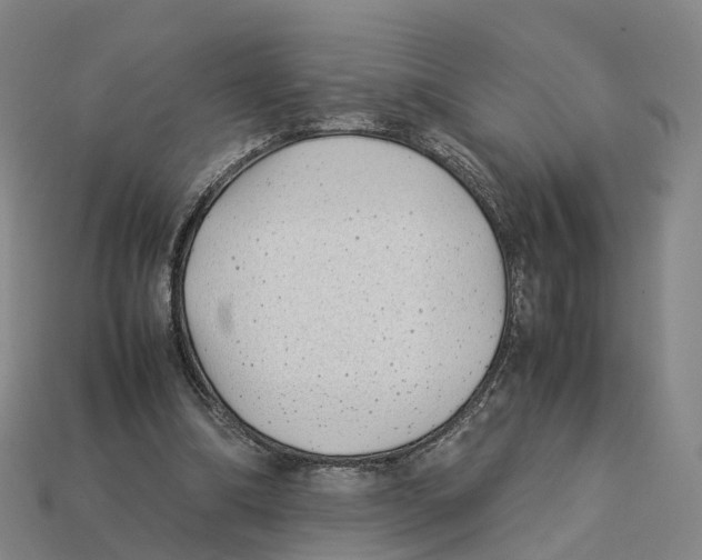 X0000113090298200909251016