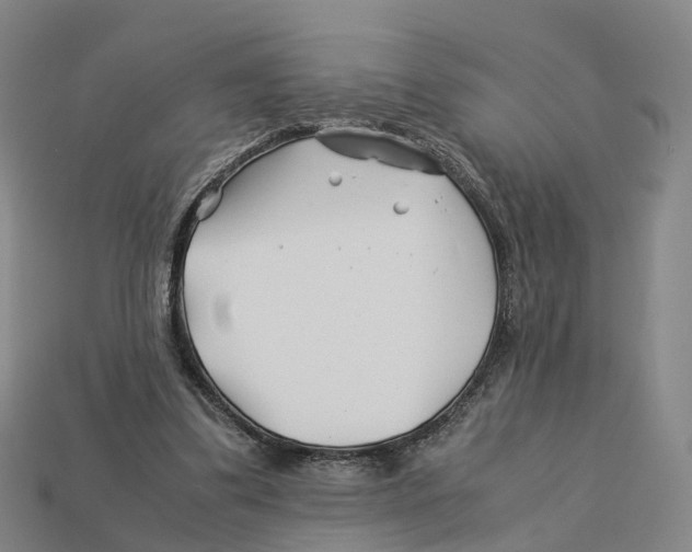 X0000113090299200909251016