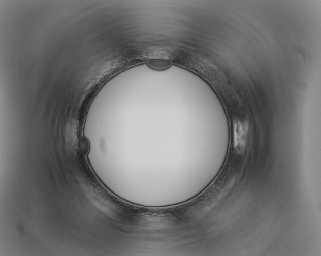 X0000113090300200909251016