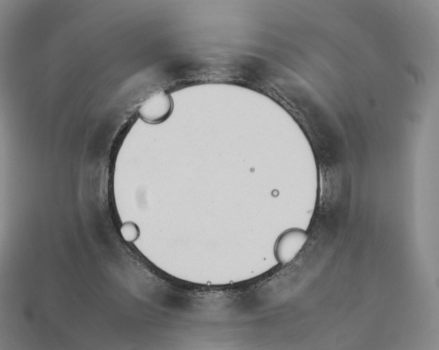 X0000113090301200909251016