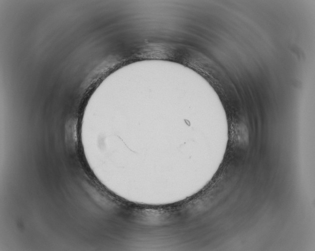 X0000113090302200909251016
