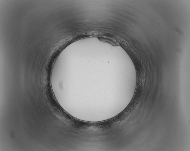 X0000113090303200909251016