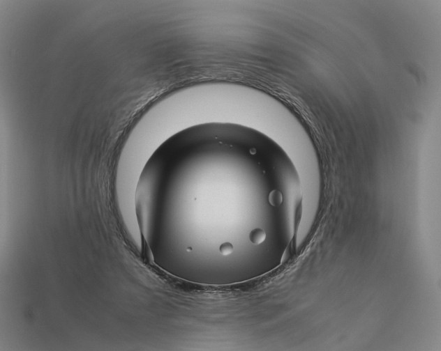 X0000113090305200909251016