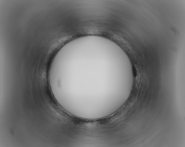 X0000113090306200909251016