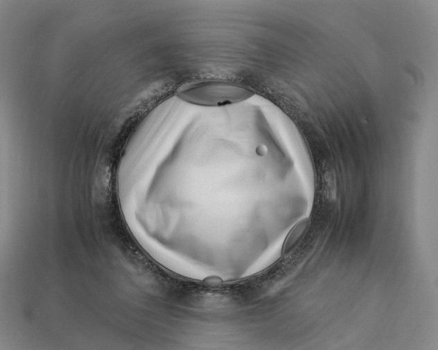 X0000113090308200909251016
