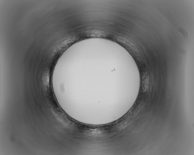 X0000113090310200909251016