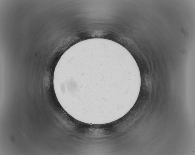 X0000113090311200909251016