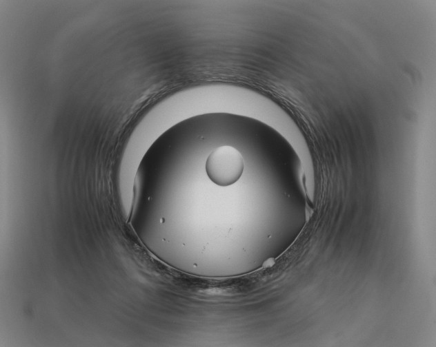 X0000113090312200909251016
