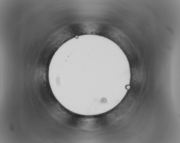 X0000113090313200909251016