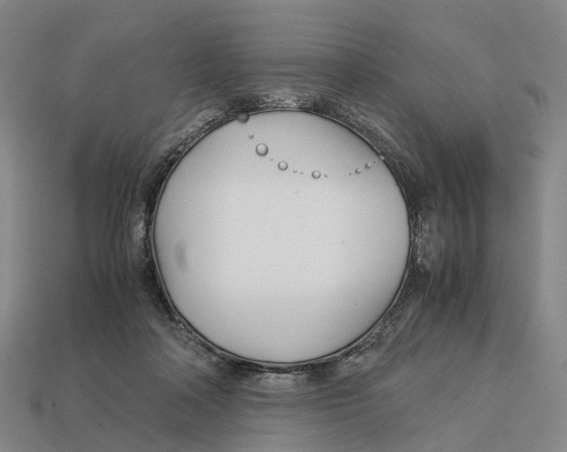 X0000113090314200909251015