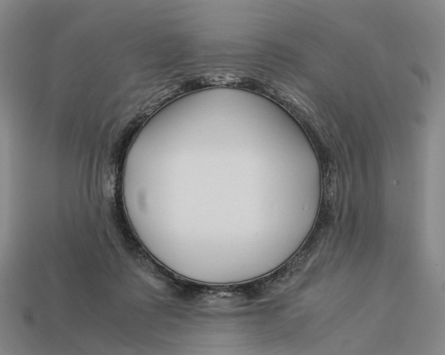 X0000113090315200909251015