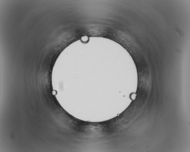 X0000113090317200909251015
