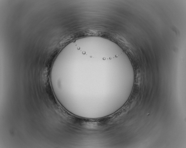 X0000113090318200909251015