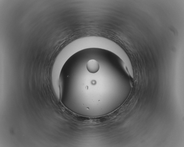 X0000113090320200909251015