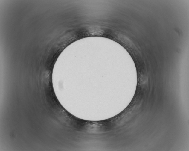 X0000113090321200909251015