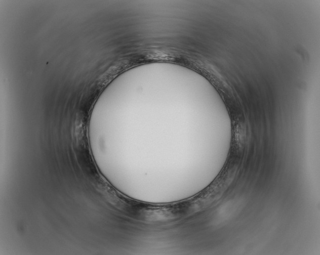 X0000113090322200909251015