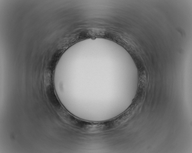X0000113090323200909251015