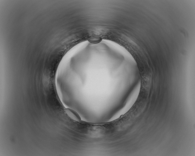 X0000113090324200909251015