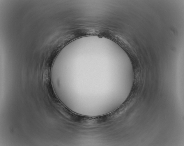 X0000113090325200909251015