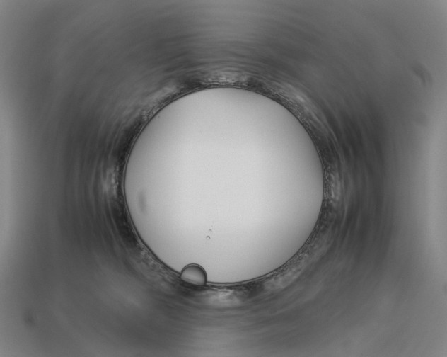 X0000113090326200909251015