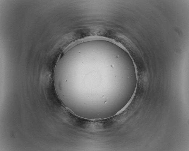 X0000113090327200909251015