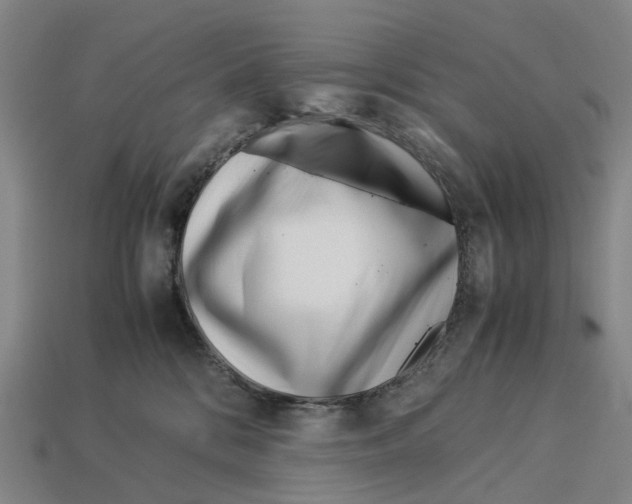 X0000113090328200909251015
