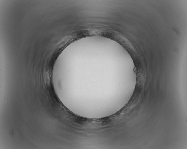 X0000113090329200909251015