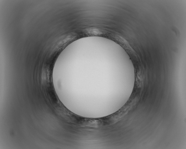 X0000113090330200909251015