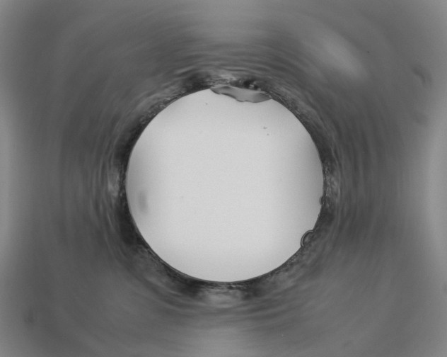 X0000113090331200909251015