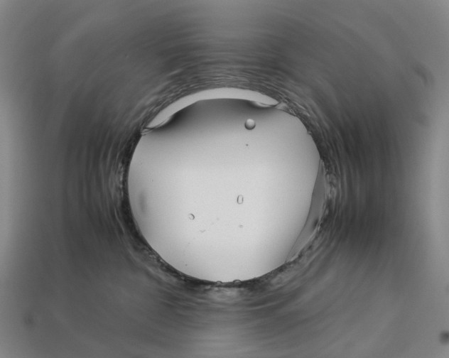 X0000113090332200909251015